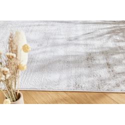 Dywan Arte Luna Ash Beige